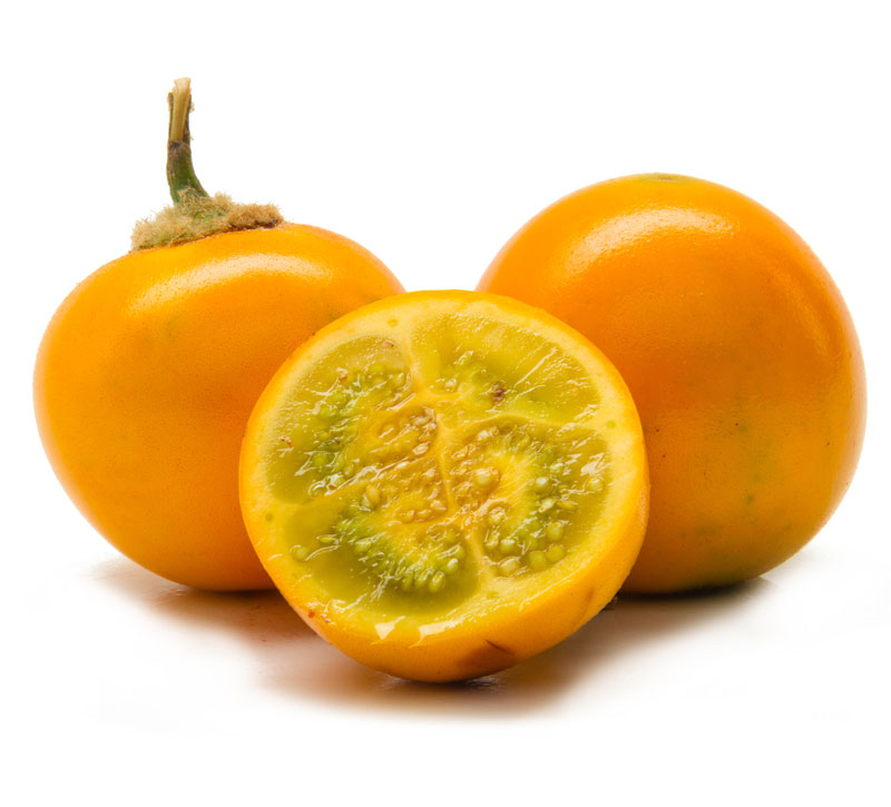 نهال نارنجیلا 